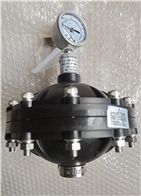LGMZ-P0.35L/LGMZ-P0.6LUPVC膜片式脉冲阻尼器